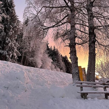 Luserblick Haus im Ennstal Esterno foto