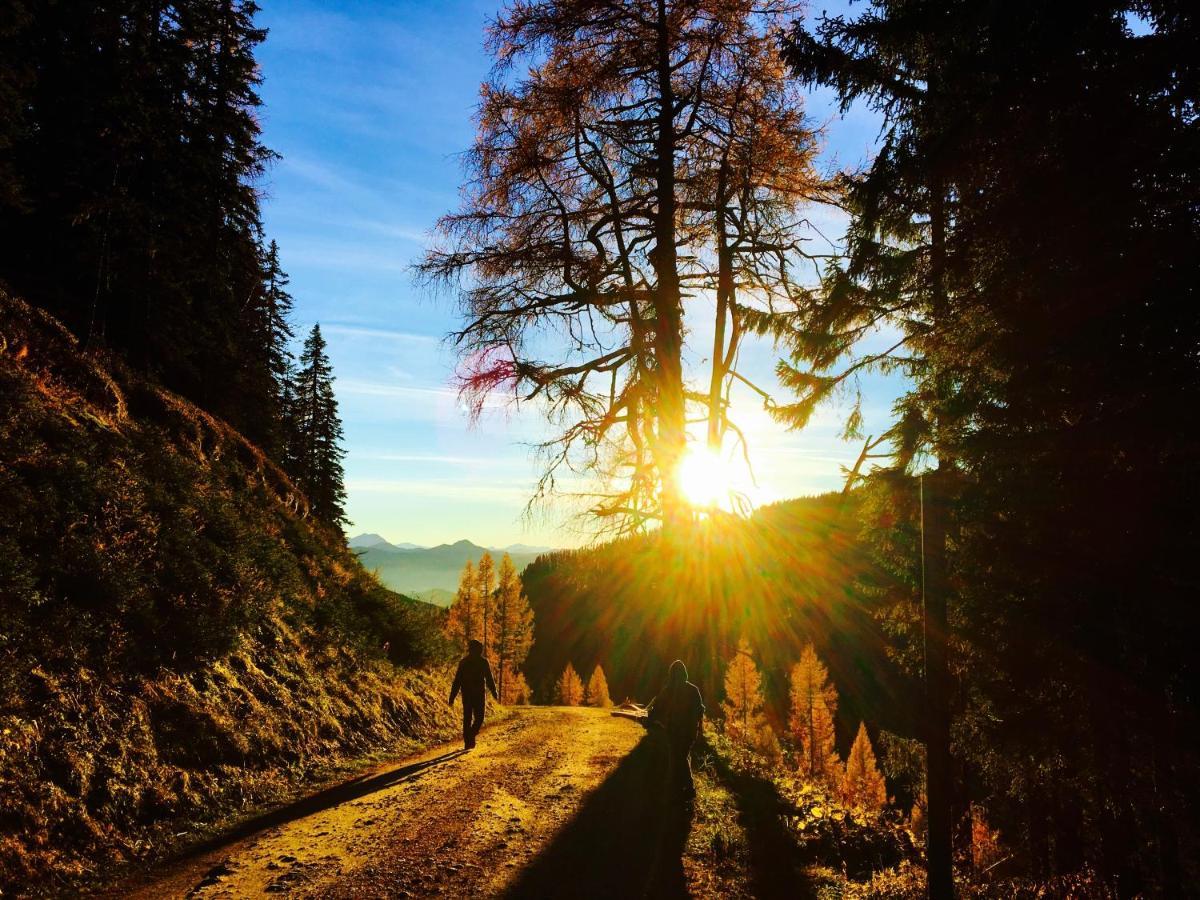 Luserblick Haus im Ennstal Esterno foto