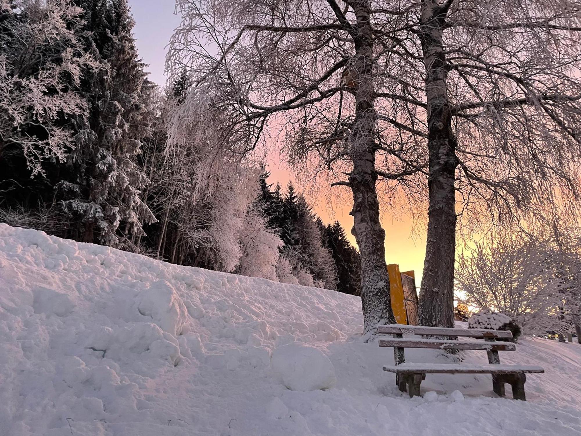 Luserblick Haus im Ennstal Esterno foto